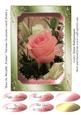 Rose in Metallic Frame Various Occasions Card Front 3