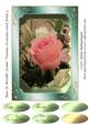 Rose in Metallic Frame Various Occasions Card Front 4