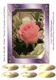 Rose in Metallic Frame Various Occasions Card Front 5
