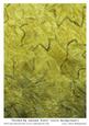Washed by Autumn Water Leaves Background 5