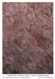 Washed by Autumn Water Leaves Background 6