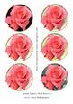Round Toppers with Rose Set 2