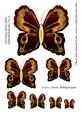 Zartonq Butterflies Embellishments Set 6