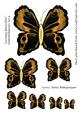 Zartonq Butterflies Embellishments Set 9