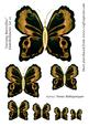 Zartonq Butterflies Embellishments Set 10