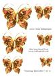 Stunning Butterflies Set 10