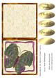 Butterfly on an Abstract Frame Card 4