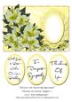 Flowers on Pastel Background Various Occasions Topper 2