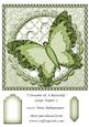 I Dreamt of a Butterfly Large Topper 2