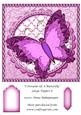 I Dreamt of a Butterfly Large Topper 8