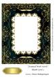 Framed with Swirls Blank Card 2
