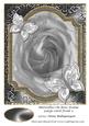 Butterflies on Rose Frame Large Card Front 3