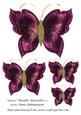 Grace Metallic Butterflies 5