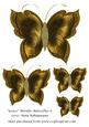 Grace Metallic Butterflies 6