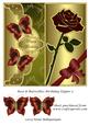 Rose & Butterflies Birthday Topper 5