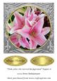 Pink Lilies on Carved Background Topper 8
