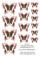 Grace Metallic Butterflies Embellishments Set 2