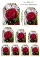 Rose Tags Set 1