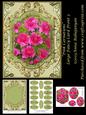 Pink Carnations Large Fancy Card Front 3