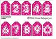Number Tags ( Pink )