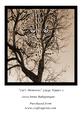 Cats Memories Large Topper 2