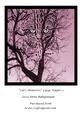 Cats Memories Large Topper 3