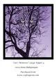Cats Memories Large Topper 4