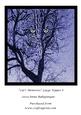 Cats Memories Large Topper 6