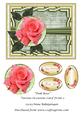 Pink Rose Various Occasions Card Front 2