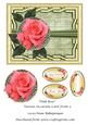 Pink Rose Various Occasions Card Front 3