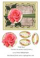 Pink Rose Various Occasions Card Front 4