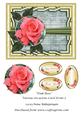 Pink Rose Various Occasions Card Front 5