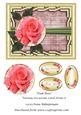 Pink Rose Various Occasions Card Front 6