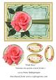 Pink Rose Various Occasions Card Front 7