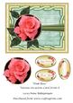 Pink Rose Various Occasions Card Front 8