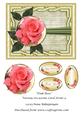 Pink Rose Various Occasions Card Front 9