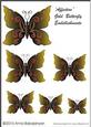 Affection Gold Butterfly Embellishments