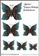 Affection Turquoise Butterfly Embellishments