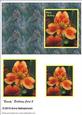 Beauty Birthday Card 2