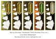 Merry Christmas Bookmarks with Christmas Trees Set 2