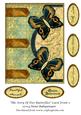 The Story of Two Butterflies Card Front 2