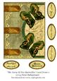 The Story of Two Butterflies Card Front 3