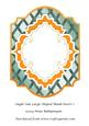 Single Side Large Shaped Blank Insert 1