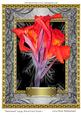 Emotional Large Floral Card Front 1