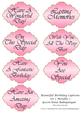 Beautiful Birthday Captions Set 1 Metallic 1