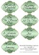 Beautiful Birthday Captions Set 1 Metallic 4