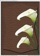 A4 "three Callas on Wood" (embossed Layer)