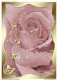 Plain A4 Rose Background Card Base 5