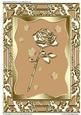 A4 "beautiful as You Are" (pale Warm Brown)
