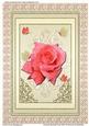 Framed Beautiful Rose with Ornaments & Butterflies